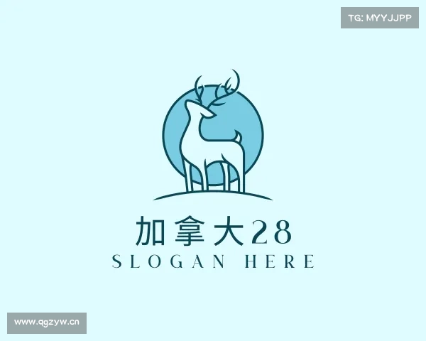 了解加拿大28